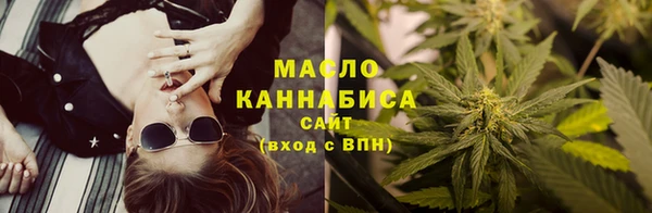 сатива Няндома