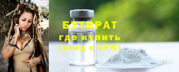 сатива Няндома