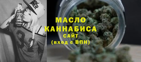 сатива Няндома