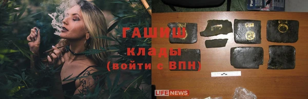 сатива Няндома