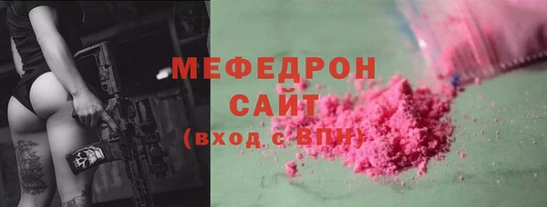 сатива Няндома