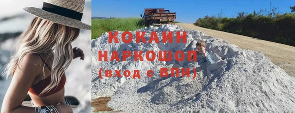 сатива Няндома