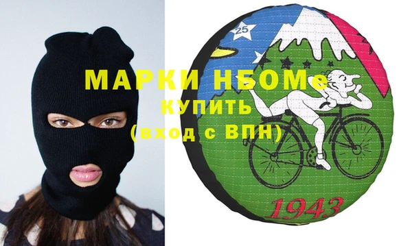 сатива Няндома