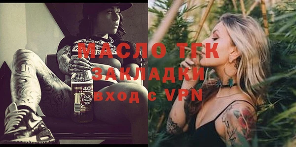 сатива Няндома