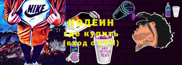 сатива Няндома
