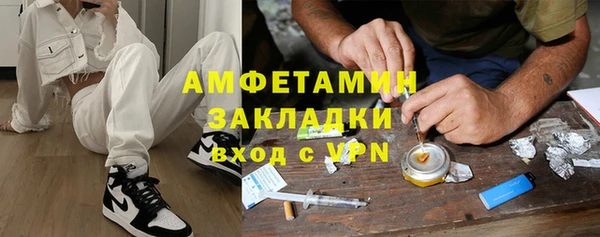 сатива Няндома