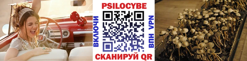 Псилоцибиновые грибы Cubensis  Арамиль 